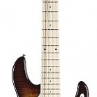 Opus 100-PE 5-String