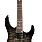 Trans Black Burst