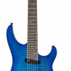 Trans Blue Burst