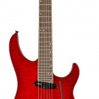 Trans Red Burst