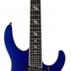 Caparison TAT Special