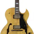 Heritage Guitars H-575 Custom
