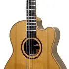 Avalon Guitars Fusion 1-20CN