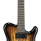 H2 Allan Holdsworth Signature