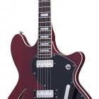 Schecter T S/H 1B