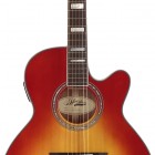 Cherry Sunburst