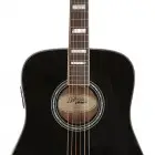 D`Angelico Guitars Excel Lexington (SD-300)