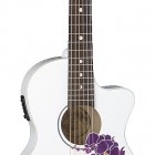 Flora Orchid