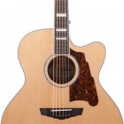 D`Angelico Guitars Premier Madison