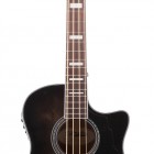 D`Angelico Guitars Premier Mott