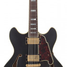 D`Angelico Guitars Deluxe DC