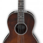 Ibanez AVN10 (2017)