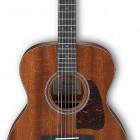 Ibanez AVC9 (2017)