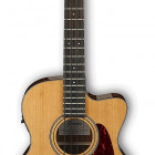 Ibanez AVC9BE