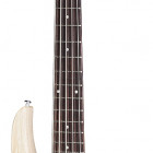 EB Bass 5-String 2017 T