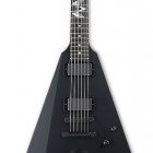 ESP Vulture