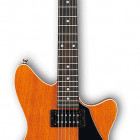 Ibanez RC220