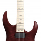 Legator Guitars Jon Donais Signature Ninja R 300-PRO