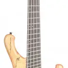 Legator Guitars Helio Bass 200-SE Fanned-Fret 5-String