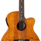 Gypsy Exotic Ash A/E