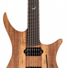 Strandberg Boden Prog Plini Edition