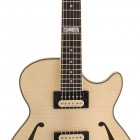 D`Angelico Guitars Fabrizio Sotti