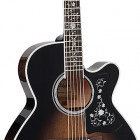 Trans Black Burst