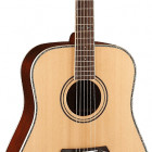 Parkwood Guitars P810