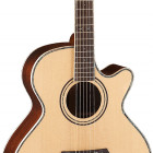 Parkwood Guitars P870