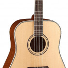 Parkwood Guitars P610