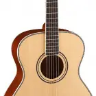 Parkwood Guitars P620
