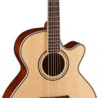 Parkwood Guitars P670