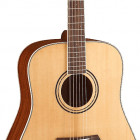 Parkwood Guitars S61