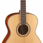 Parkwood Guitars S62