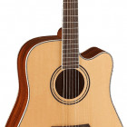 Parkwood Guitars S66