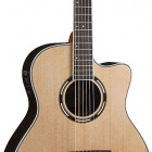 Washburn AG20CE