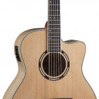 Washburn AG40CE