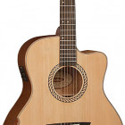 Washburn WCG15CE