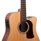 Washburn HD100SWCEK