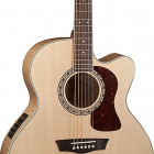 Washburn HJ40SCE