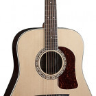 Washburn HD20S