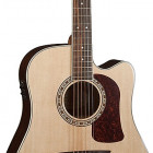 Washburn HD20SCE