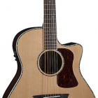 Washburn HG26SCE