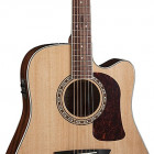 Washburn HD10SCE