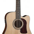 Washburn HD10SCE12