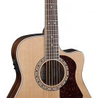 Washburn HF11SCE