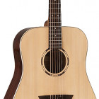 Washburn WLD20S