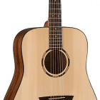 Washburn WLD10S