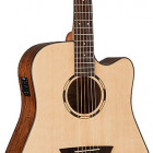 Washburn WLD10SCE