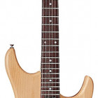 Washburn N2NMK